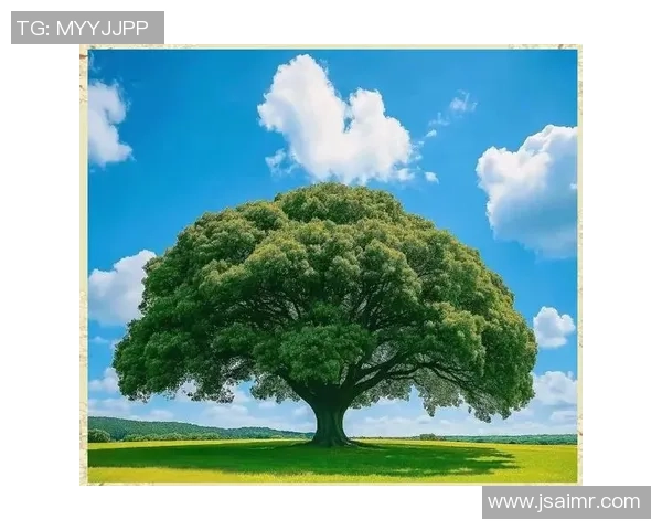 绿茵巨星的成长轨迹与辉煌人生奋斗故事